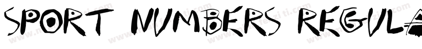 Sport Numbers Regula字体转换